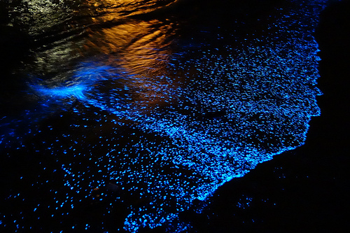 Glowing sea blue waters.jpg